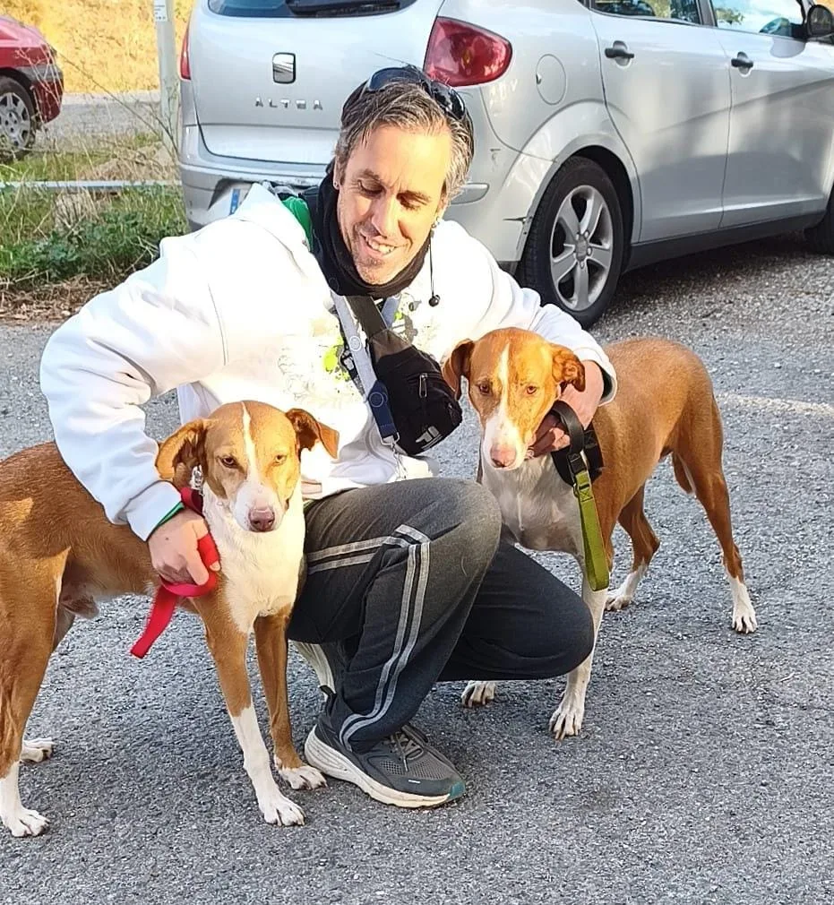 Lyon y Moretto adoptados juntos